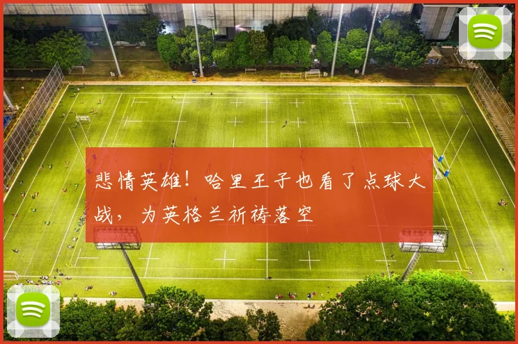 悲情英雄！哈里王子也看了点球大战，为英格兰祈祷落空