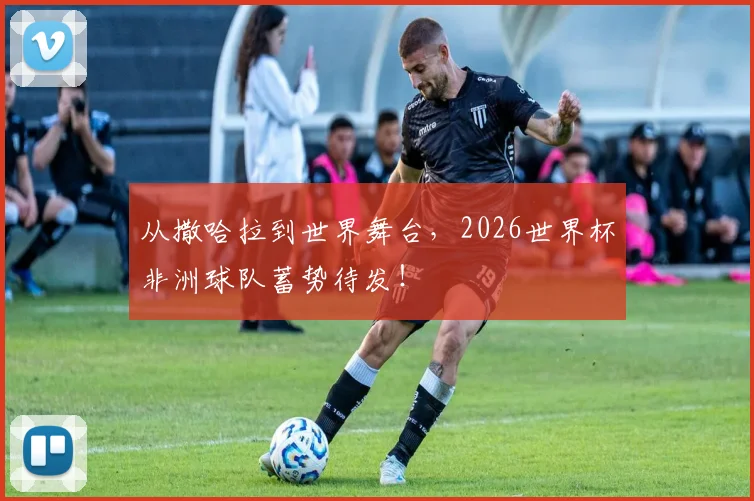 从撒哈拉到世界舞台,2026世界杯非洲球队蓄势待发!