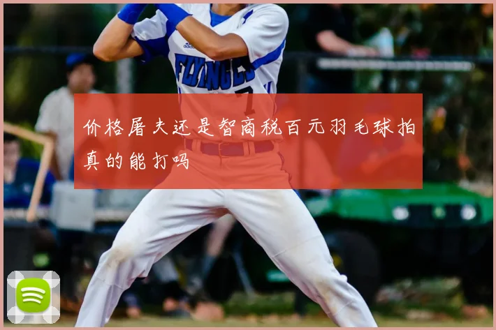 价格屠夫还是智商税百元羽毛球拍真的能打吗